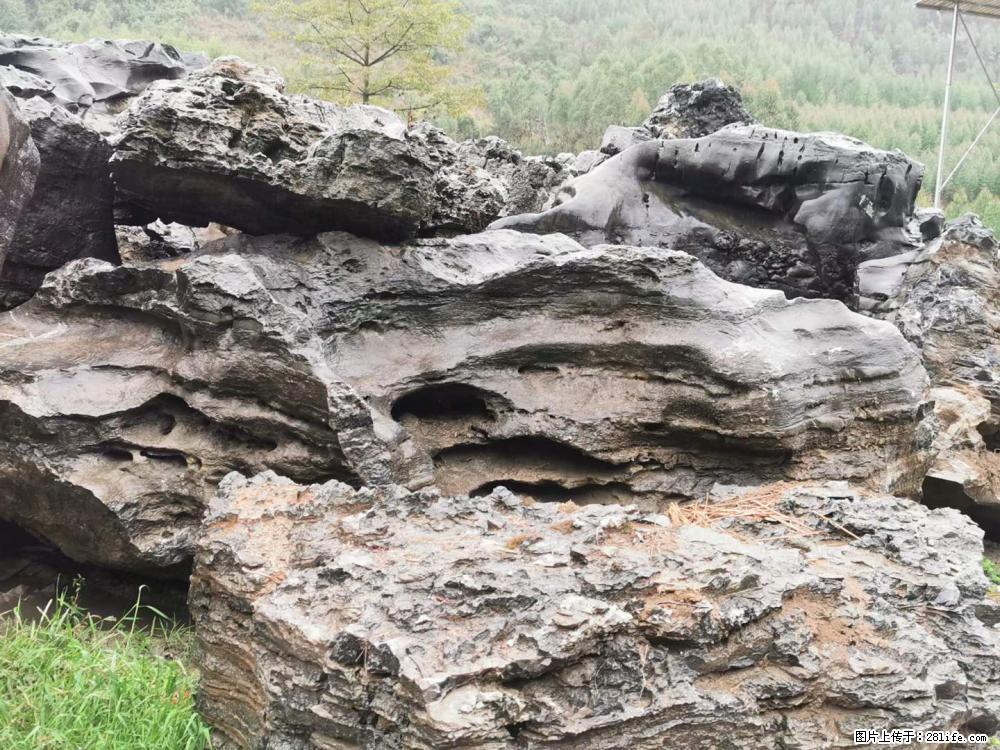 风景石、假山石大量有货，有需要的欢迎联系 - 新手上路 - 济南生活社区 - 济南28生活网 jn.28life.net