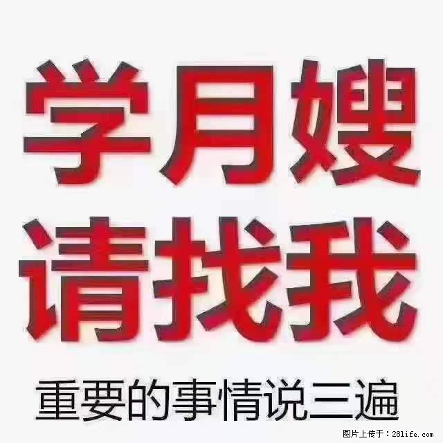 为什么要学习月嫂，育婴师？ - 新手上路 - 济南生活社区 - 济南28生活网 jn.28life.net