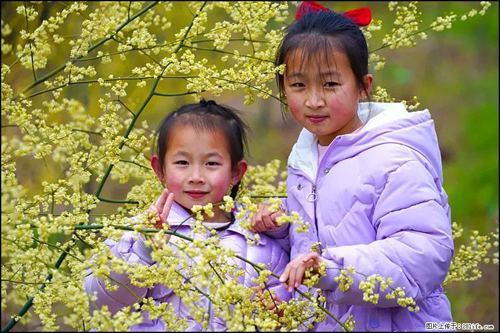 【春天，广西桂林灌阳县向您发出邀请！】米珠山前有片山苍子花在飘香 - 游山玩水 - 济南生活社区 - 济南28生活网 jn.28life.net
