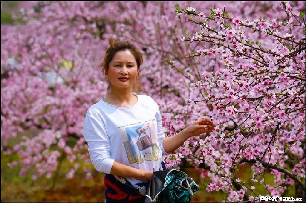 【春天，广西桂林灌阳县向您发出邀请！】官庄村有个醉美的桃花园 - 游山玩水 - 济南生活社区 - 济南28生活网 jn.28life.net
