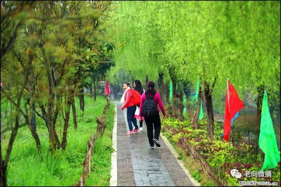 【春天，广西桂林灌阳县向您发出邀请！】江口老街又逢春 - 游山玩水 - 济南生活社区 - 济南28生活网 jn.28life.net