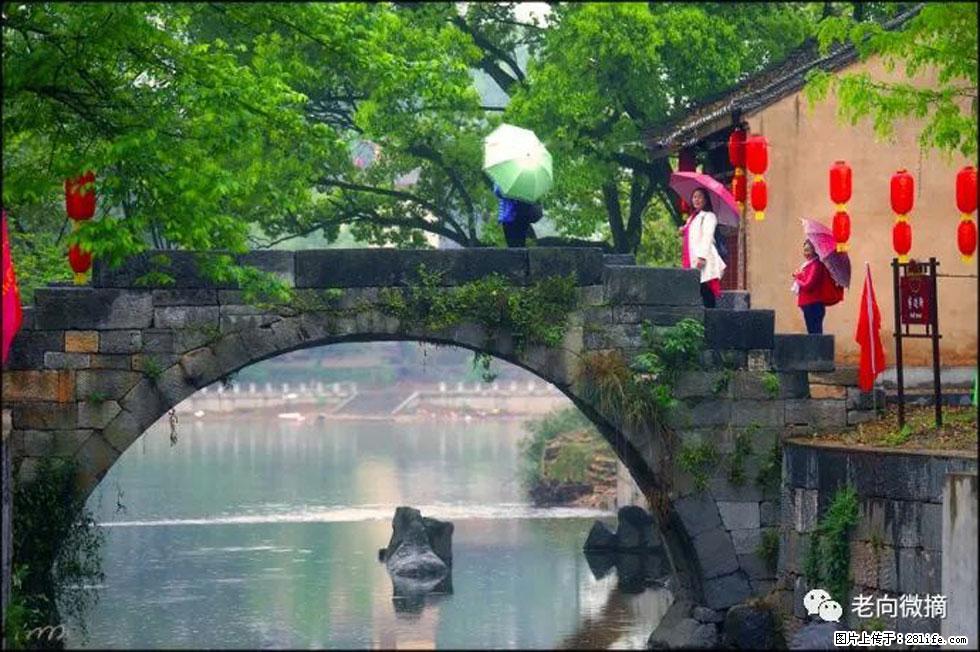 【春天，广西桂林灌阳县向您发出邀请！】江口老街又逢春 - 游山玩水 - 济南生活社区 - 济南28生活网 jn.28life.net