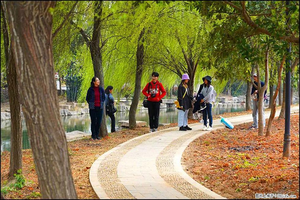 【春天，广西桂林灌阳县向您发出邀请！】江口老街又逢春 - 游山玩水 - 济南生活社区 - 济南28生活网 jn.28life.net