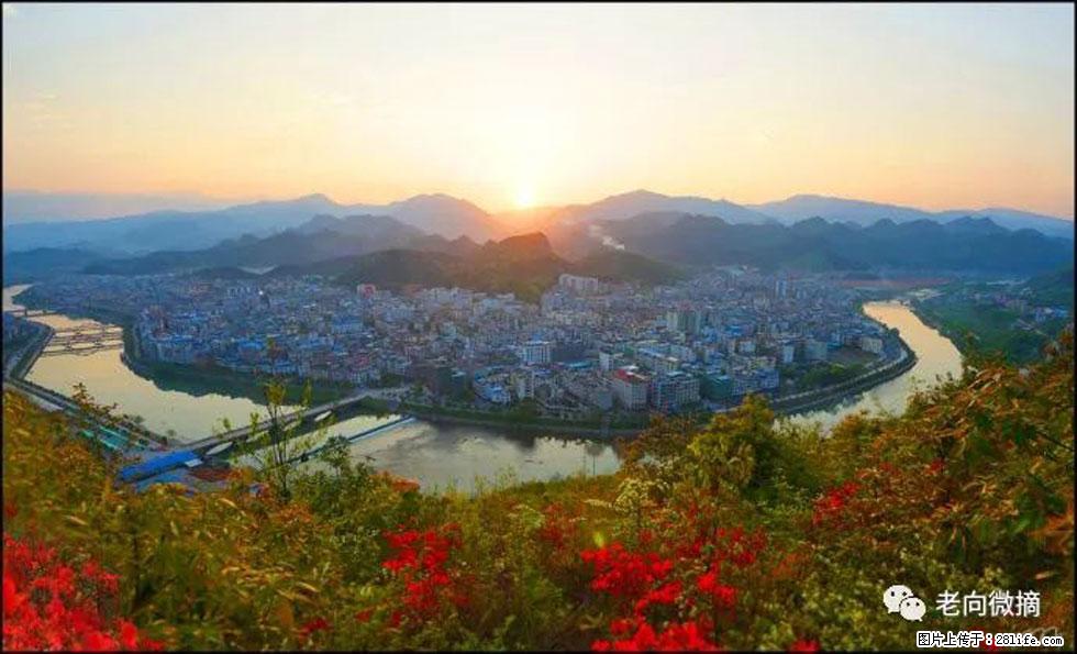 【春天，广西桂林灌阳县向您发出邀请！】登麒麟山，相约映山红 - 游山玩水 - 济南生活社区 - 济南28生活网 jn.28life.net