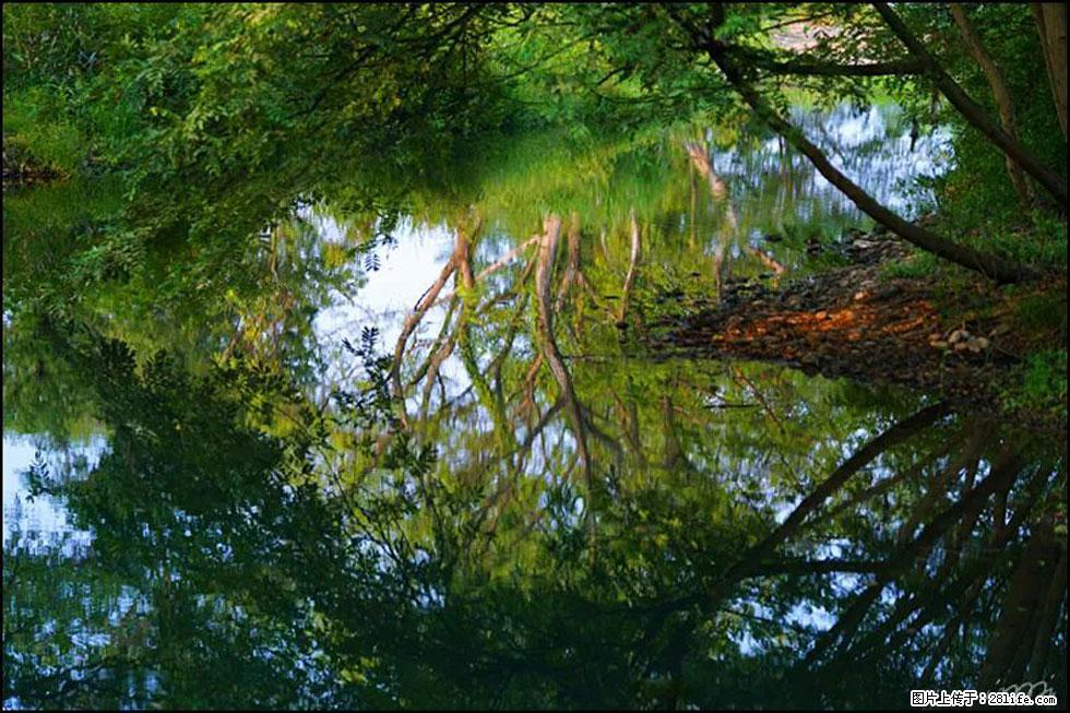 【春天,广西桂林灌阳县向您发出邀请!】熊家寨湿地公园 - 游山玩水 - 济南生活社区 - 济南28生活网 jn.28life.net
