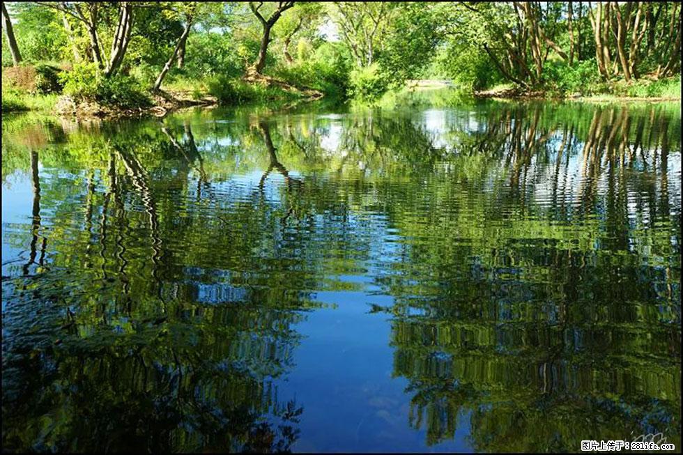 【春天,广西桂林灌阳县向您发出邀请!】熊家寨湿地公园 - 游山玩水 - 济南生活社区 - 济南28生活网 jn.28life.net