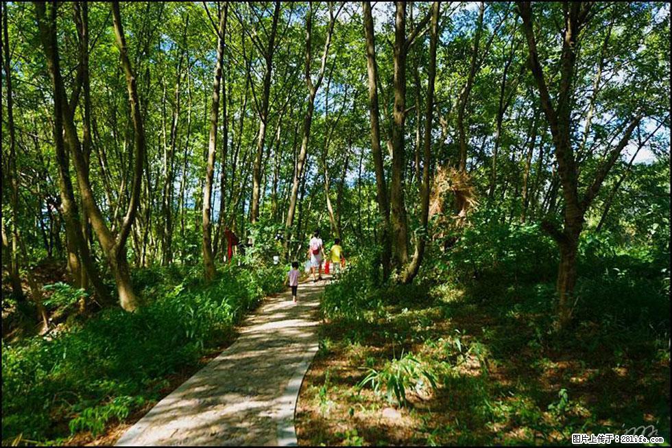【春天,广西桂林灌阳县向您发出邀请!】熊家寨湿地公园 - 游山玩水 - 济南生活社区 - 济南28生活网 jn.28life.net