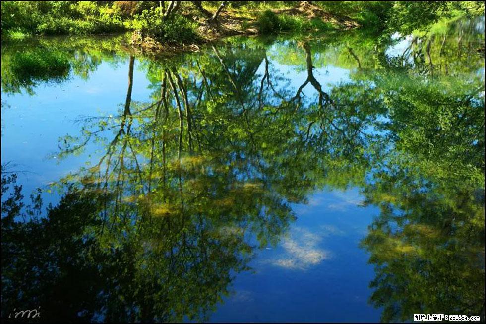 【春天,广西桂林灌阳县向您发出邀请!】熊家寨湿地公园 - 游山玩水 - 济南生活社区 - 济南28生活网 jn.28life.net