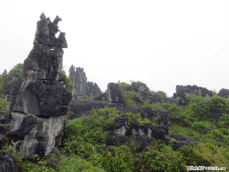 桂林旅游名城景点：灌阳文市石林 - 游山玩水 - 济南生活社区 - 济南28生活网 jn.28life.net