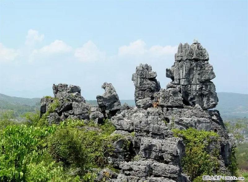 桂林旅游名城景点：灌阳文市石林 - 游山玩水 - 济南生活社区 - 济南28生活网 jn.28life.net