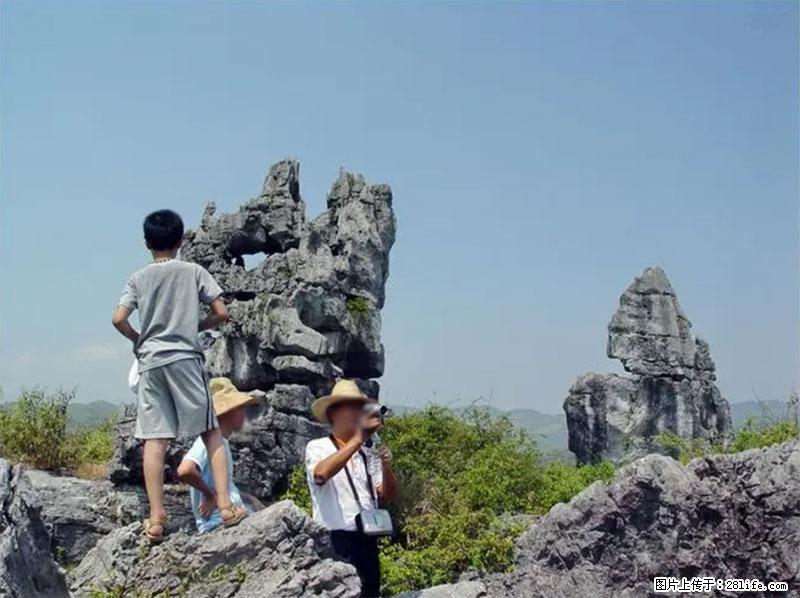 桂林旅游名城景点：灌阳文市石林 - 游山玩水 - 济南生活社区 - 济南28生活网 jn.28life.net