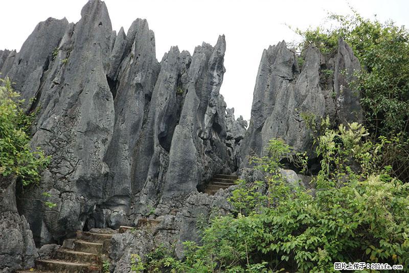桂林旅游名城景点：灌阳文市石林 - 游山玩水 - 济南生活社区 - 济南28生活网 jn.28life.net
