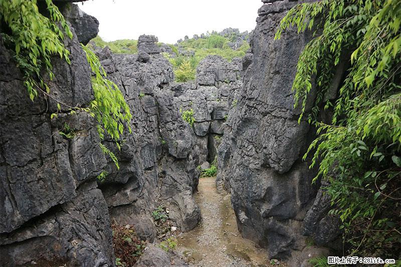 桂林旅游名城景点：灌阳文市石林 - 游山玩水 - 济南生活社区 - 济南28生活网 jn.28life.net