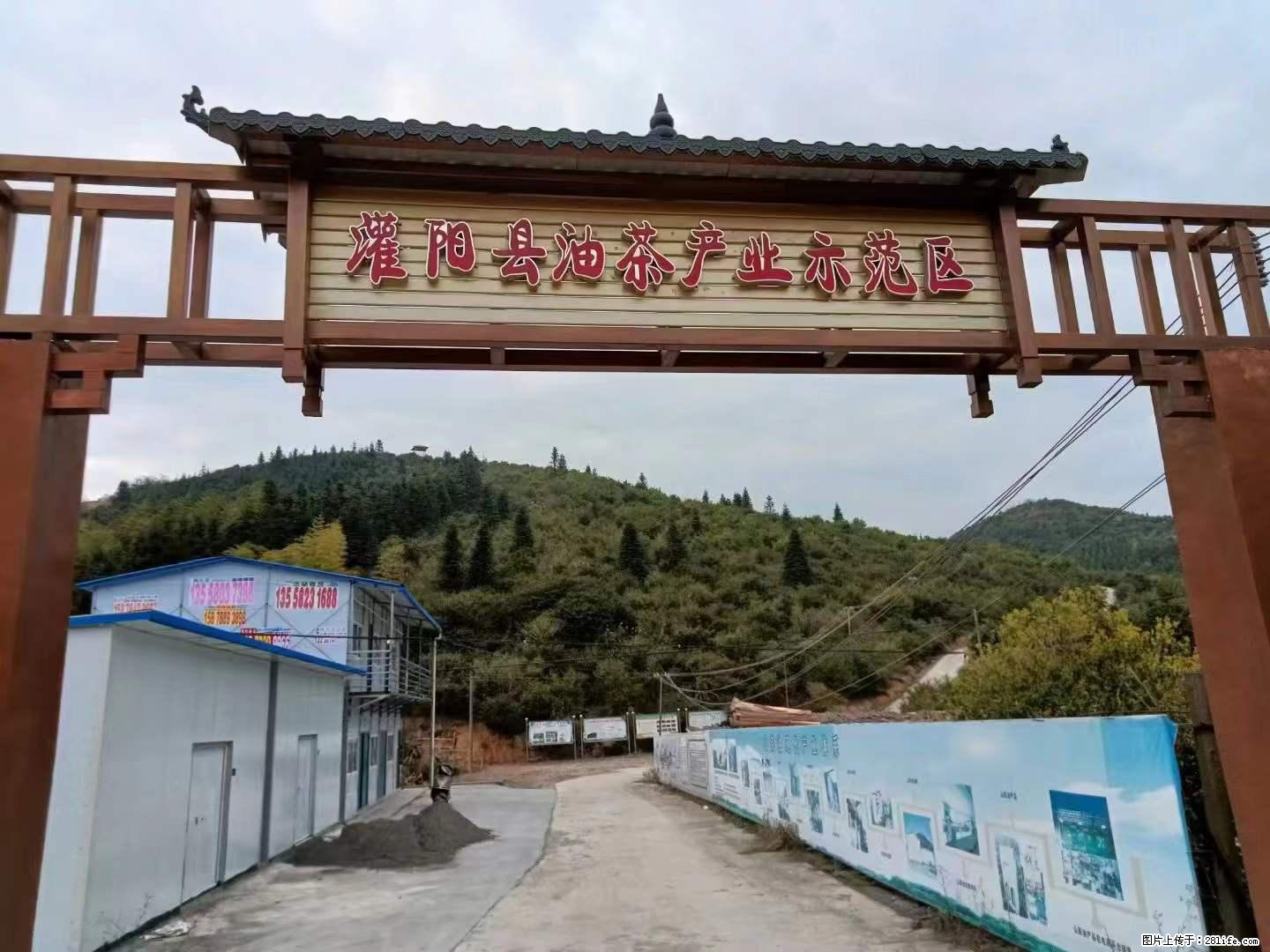 【灌阳县油茶产业示范区】一个有着充实的精神生活的人,对待身外之物自会有一种淡泊的态度 - 土特产 - 饮食特产 - 济南分类信息 - 济南28生活网 jn.28life.net