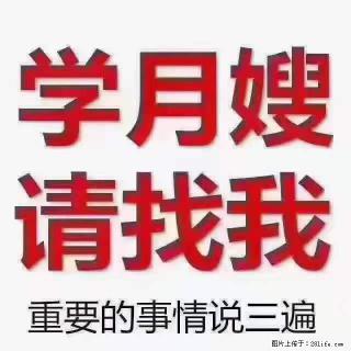为什么要学习月嫂，育婴师？ - 济南28生活网 jn.28life.net