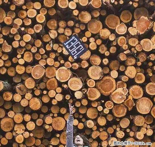 辞掉工作周游世界？现在他们在洗厕所…… - 游山玩水 - 济南生活社区 - 济南28生活网 jn.28life.net