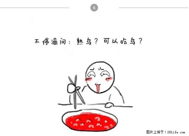 千万不要和这9种哈卵一起吃火锅！ - 美食天地 - 济南生活社区 - 济南28生活网 jn.28life.net