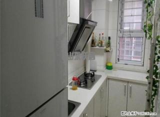 急经九路 三箭瑞福苑 商品房 精装 双气 南上山 育英 实验 - 济南28生活网 jn.28life.net