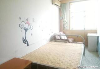 (单间出租)山大路与山大北路紧邻山大北门数码港大厦有空调暖气 3楼 个人 - 济南28生活网 jn.28life.net