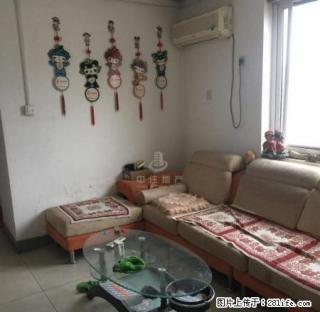 玉函区 铁路玉函 兴济河小区 英雄山路精装两室 靓丽登场 - 济南28生活网 jn.28life.net