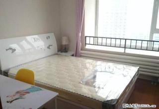 (单间出租)工业南路国际会展中心枫润大厦东临海信都市阳光精装修无中介 - 济南28生活网 jn.28life.net