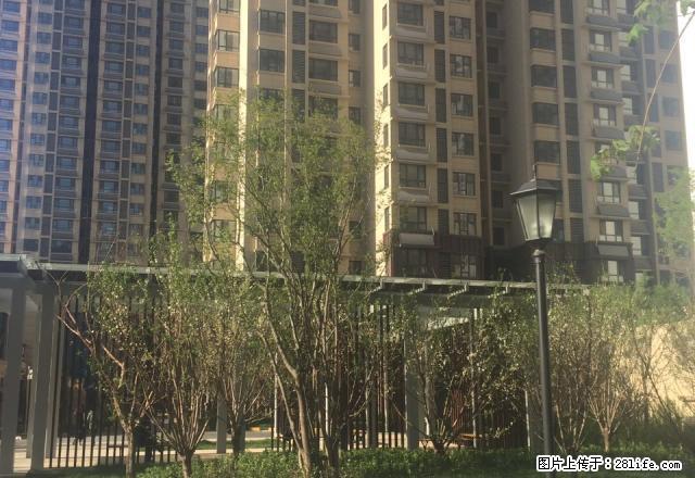 (单间出租)可短租可月付 随时看房 无中介费 公共厨房 免费无线 有暖气 - 房屋出租 - 房屋租售 - 济南分类信息 - 济南28生活网 jn.28life.net