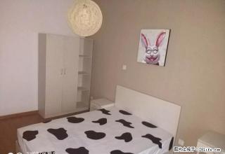 (单间出租)圣诞节即将来到 特出首月减800 月付特意给年轻人 - 济南28生活网 jn.28life.net