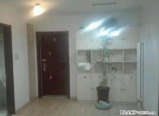 高新实验旁 会展以北 海信慧园 精装两室 空房子 - 济南28生活网 jn.28life.net