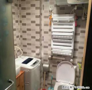 (单间出租)和平路诚基中心 精装公寓 拎包入住 给你温馨的家 - 济南28生活网 jn.28life.net