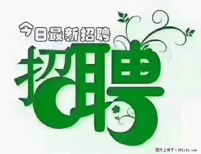 【招聘摄像师】待遇：试用期6000元/月，转正7000元/月+五险一金+餐补+节日福利+奖金 - 其他招聘信息 - 招聘求职 - 济南分类信息 - 济南28生活网 jn.28life.net