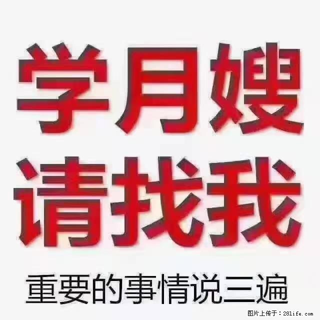 【招聘】月嫂,上海徐汇区 - 职场交流 - 济南生活社区 - 济南28生活网 jn.28life.net
