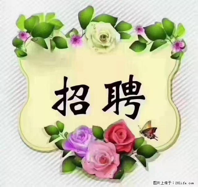 【招聘】住家育儿嫂，上户日期：4月4日，工作地址：上海 黄浦区 - 职场交流 - 济南生活社区 - 济南28生活网 jn.28life.net