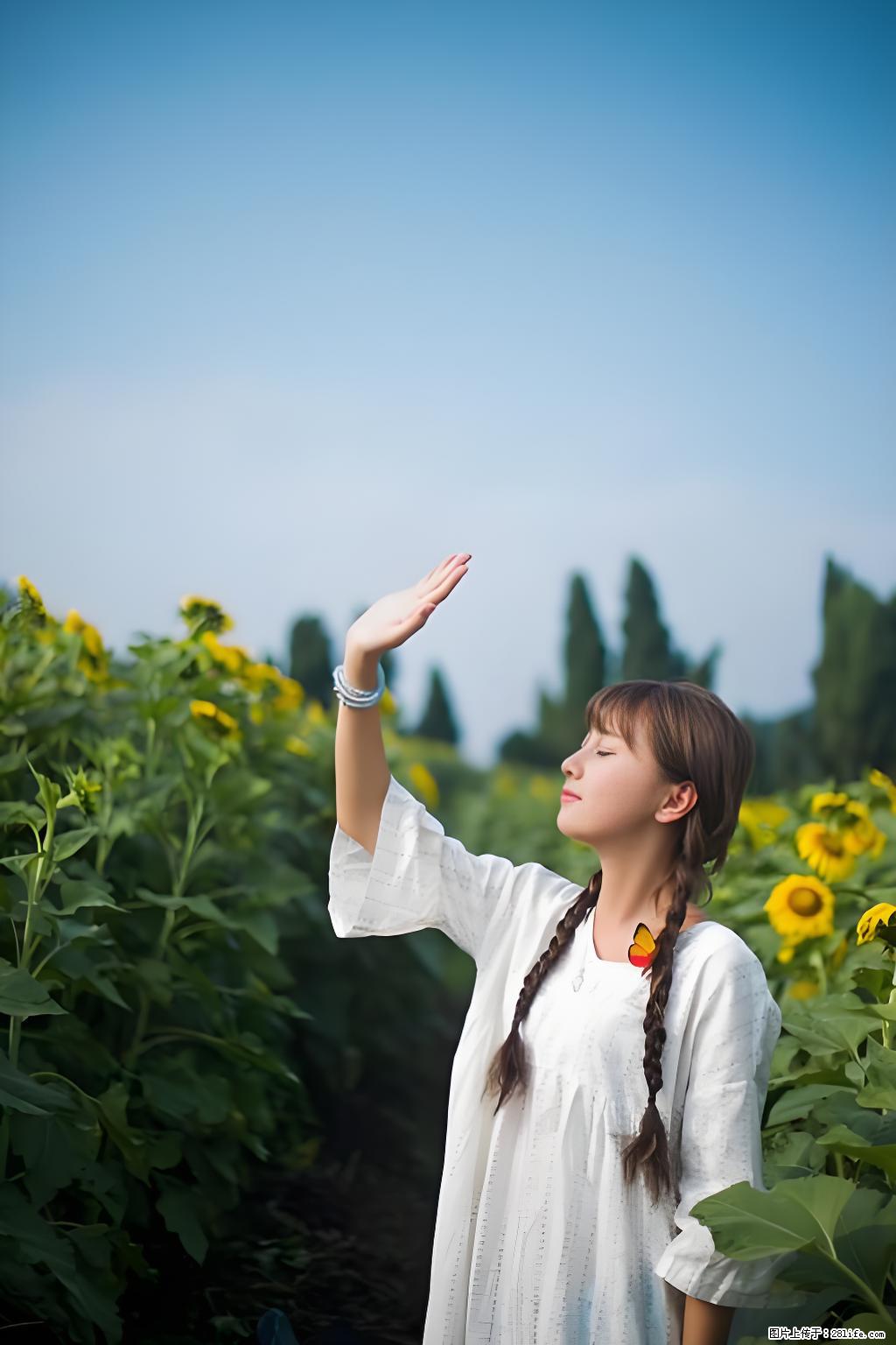 济南二手车高价收购，手续秒出，及时领置换补贴 15288852650 - 小轿车 - 汽车频道 - 济南分类信息 - 济南28生活网 jn.28life.net