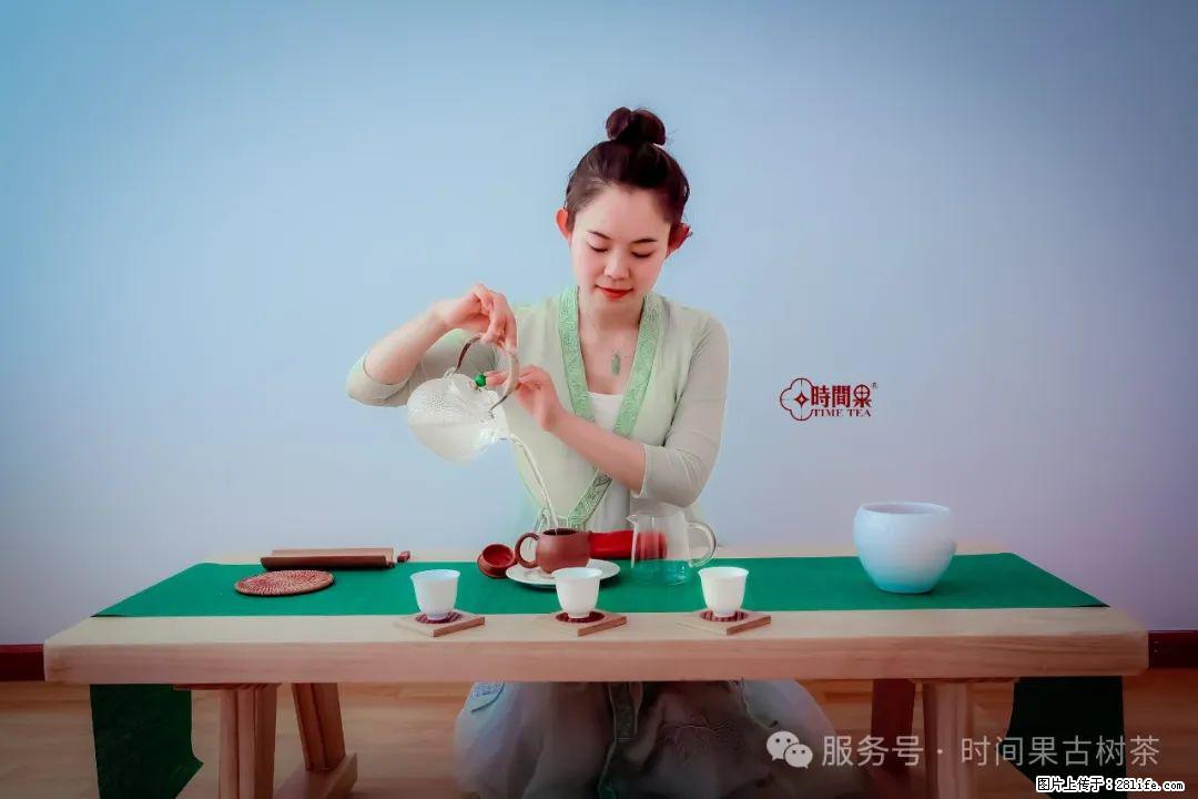 时间果百年古树龙珠普洱生茶 - 购物交流 - 济南生活社区 - 济南28生活网 jn.28life.net