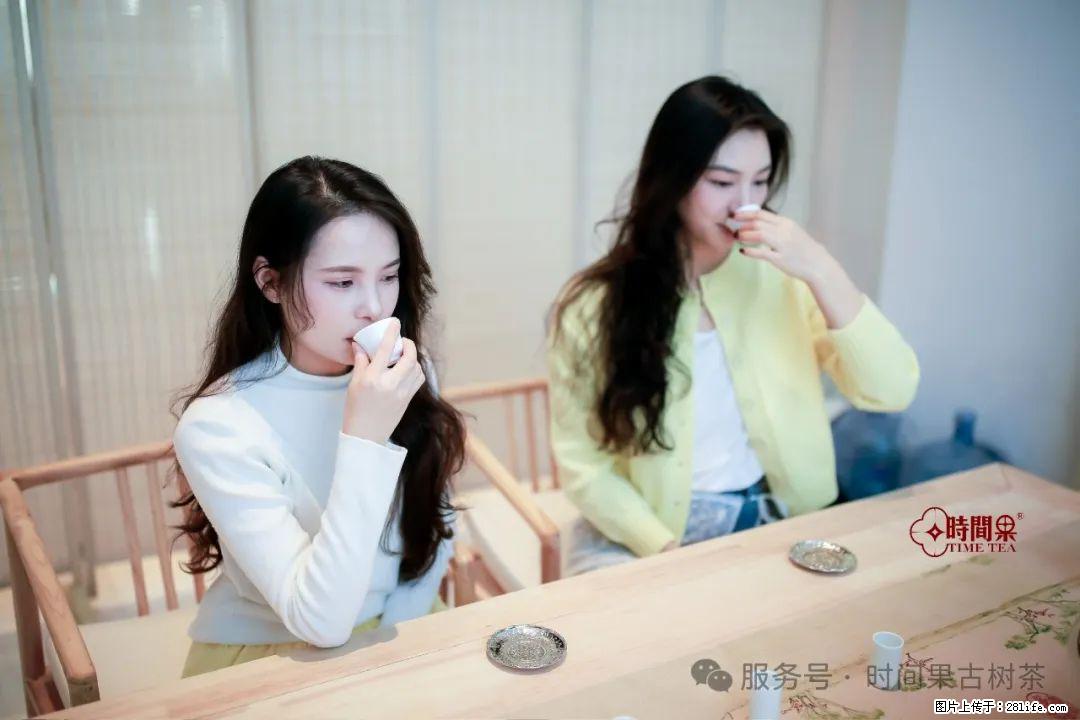 时间果百年古树龙珠普洱生茶 - 购物交流 - 济南生活社区 - 济南28生活网 jn.28life.net