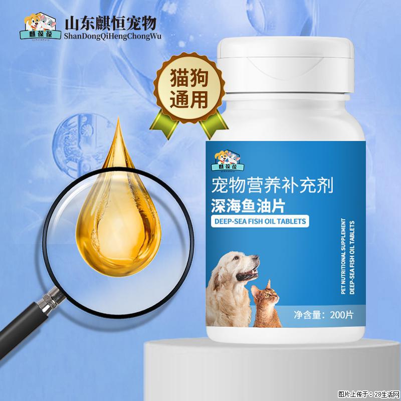 毛发干枯掉毛多？恒元星深海鱼油片，猫狗内服美毛营养实力派 - 其它 - 宠物信息 - 济南分类信息 - 济南28生活网 jn.28life.net