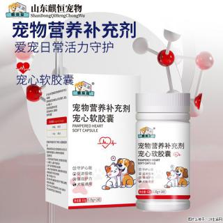 守护毛孩 “动力心脏”！恒元星宠心片，猫狗心脏日常养护必备营养补充剂 - 济南28生活网 jn.28life.net