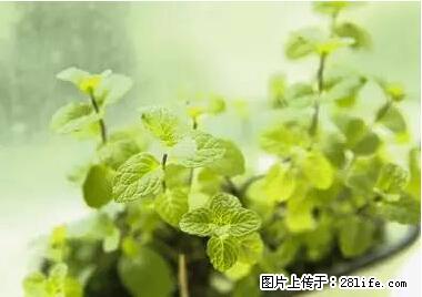 晕车、脚气、牙齿变黄、皮肤粗糙？学会这些三分钟搞定！ - 济南生活资讯 - 济南28生活网 jn.28life.net