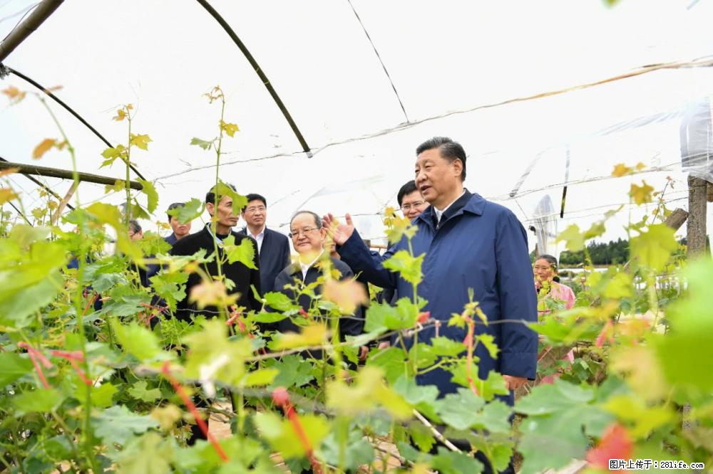 习近平赴广西考察调研 - 济南生活资讯 - 济南28生活网 jn.28life.net