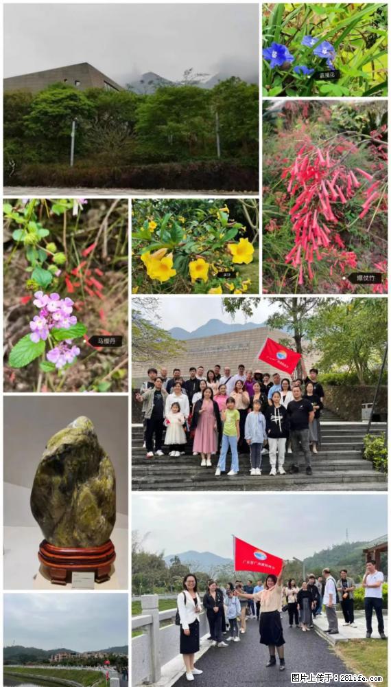 “粤灌文化 美好生活”油茶文化主题活动在广东深圳成功举办 - 济南生活资讯 - 济南28生活网 jn.28life.net