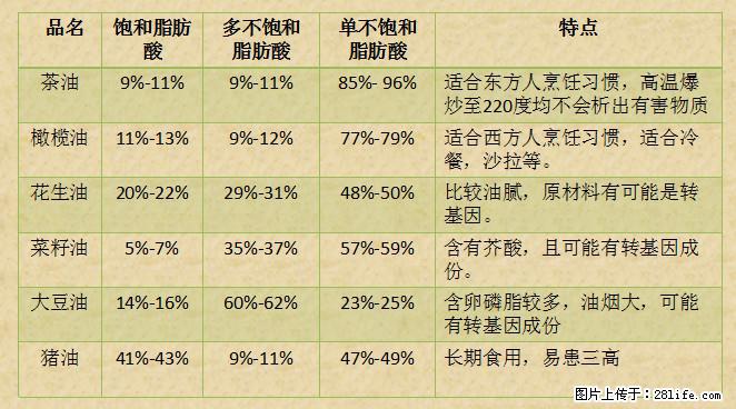 揭秘茶油的5大核心营养成分！被称为人体健康的“守护盾”！ - 济南生活资讯 - 济南28生活网 jn.28life.net