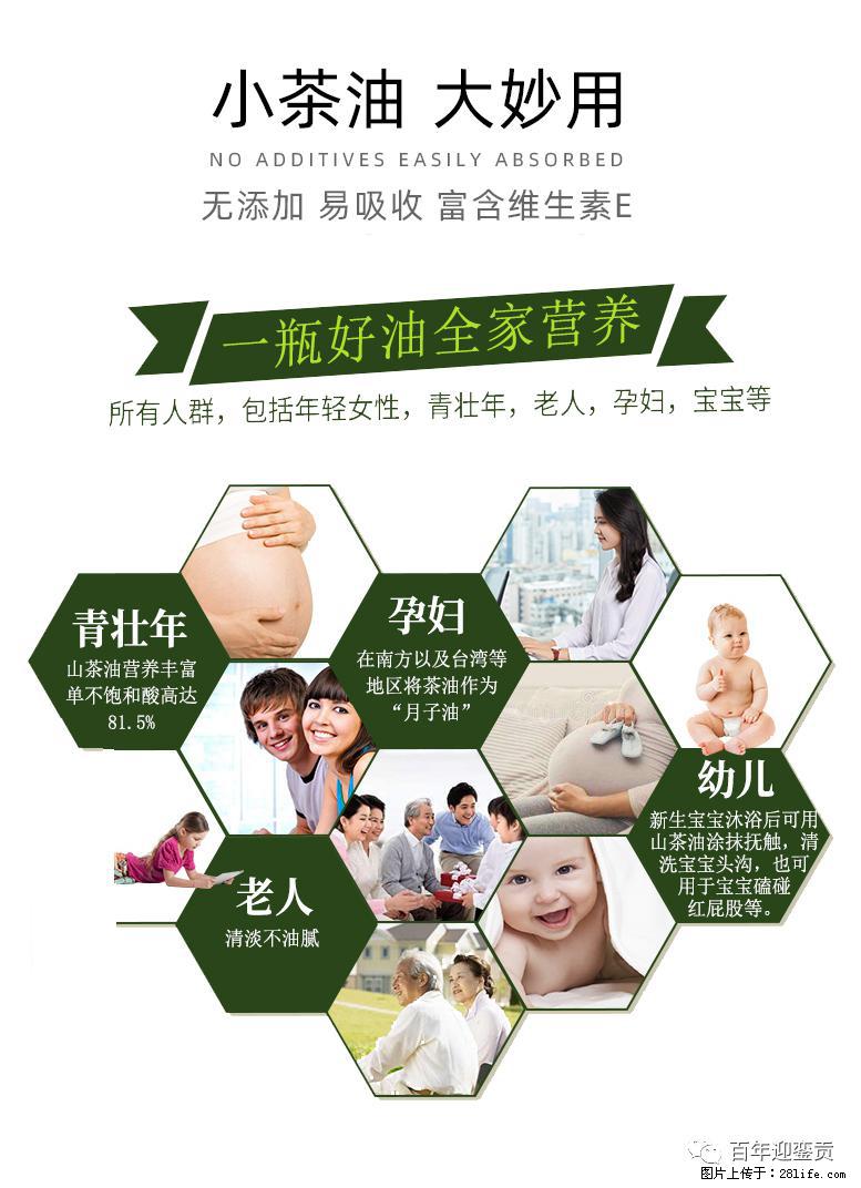 世界没有真相，只有认知，最好的食用油是中国的山茶油！ - 济南生活资讯 - 济南28生活网 jn.28life.net