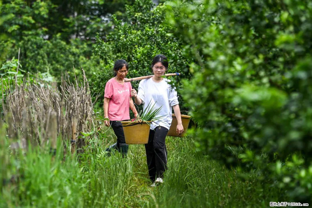 全网追的“扁担女孩”，找了一份暑假工，时薪12元 - 济南生活资讯 - 济南28生活网 jn.28life.net
