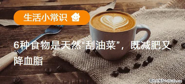 【生活小常识】6种食物是天然“刮油菜”，既减肥又降血脂 - 济南生活资讯 - 济南28生活网 jn.28life.net