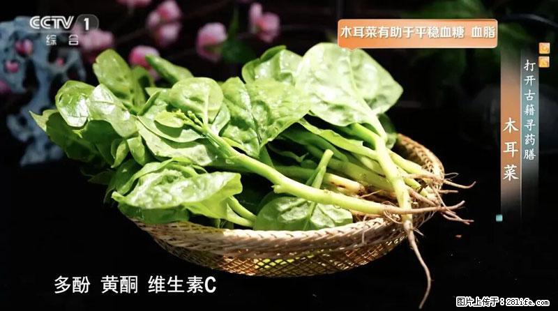 比牛奶补钙还厉害!凉血解毒、稳血糖...这菜冬天必吃,很多人却当草 - 济南生活资讯 - 济南28生活网 jn.28life.net