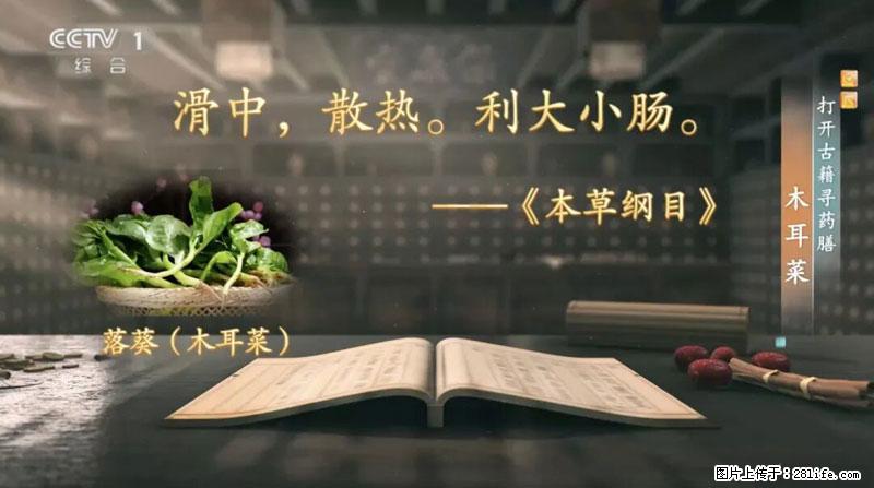 比牛奶补钙还厉害!凉血解毒、稳血糖...这菜冬天必吃,很多人却当草 - 济南生活资讯 - 济南28生活网 jn.28life.net