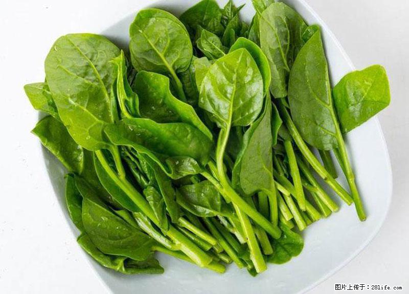 这些蔬菜是“天然钙片”，这6种被医生重点推荐 - 济南生活资讯 - 济南28生活网 jn.28life.net