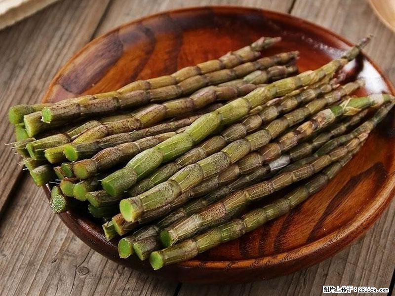 铁皮石斛的作用与功能主治 - 济南生活资讯 - 济南28生活网 jn.28life.net