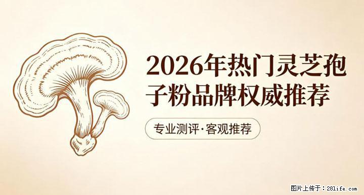 灵芝孢子粉含量越高越有效？2026 年七款热门品牌深度实测，肠胃敏感者避坑指南 - 济南生活资讯 - 济南28生活网 jn.28life.net